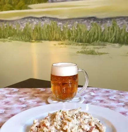 Pensionat Penzion A Restaurace Fara Krásno